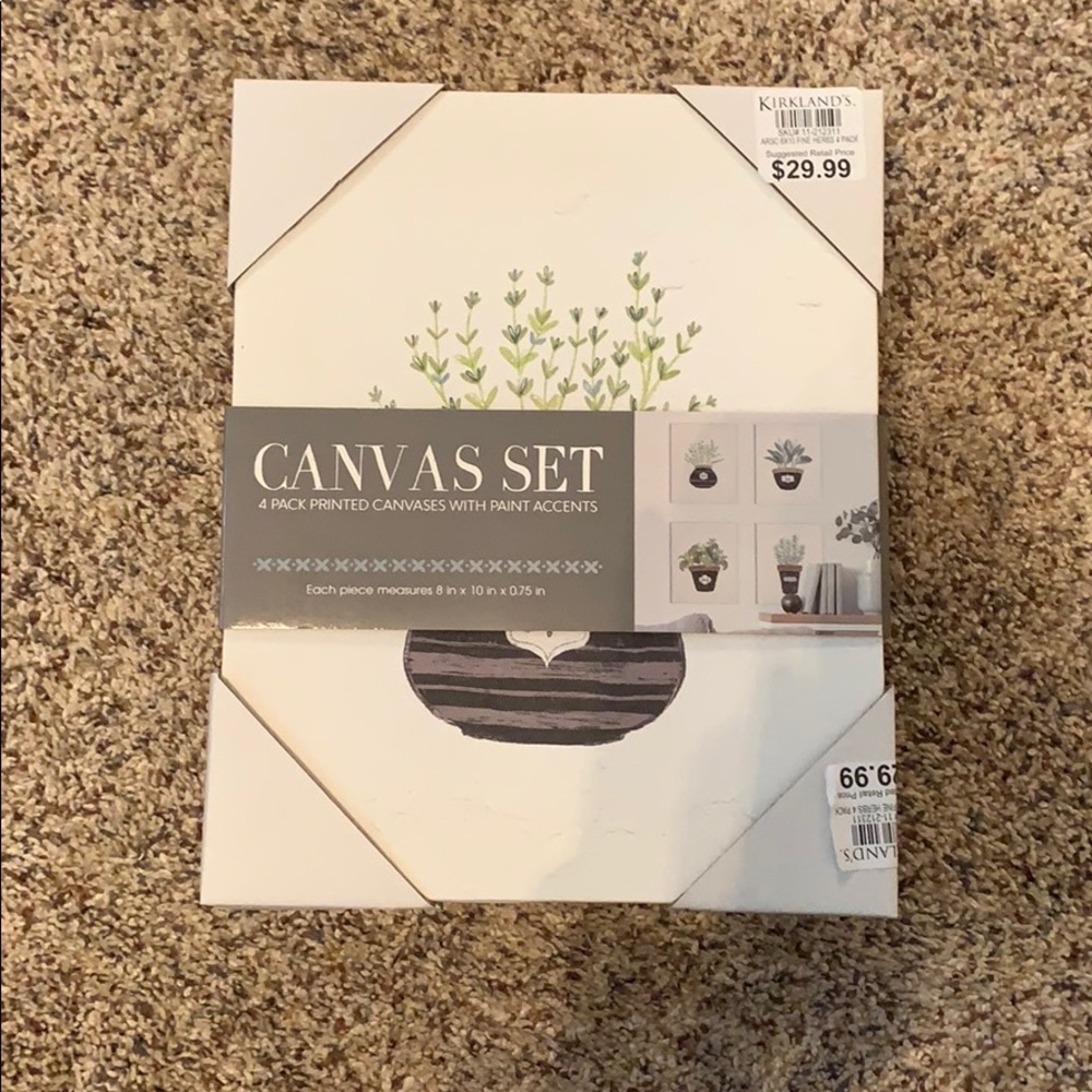 canvas set